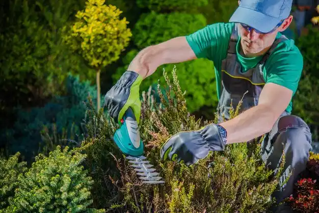 landscaping services Truesdale